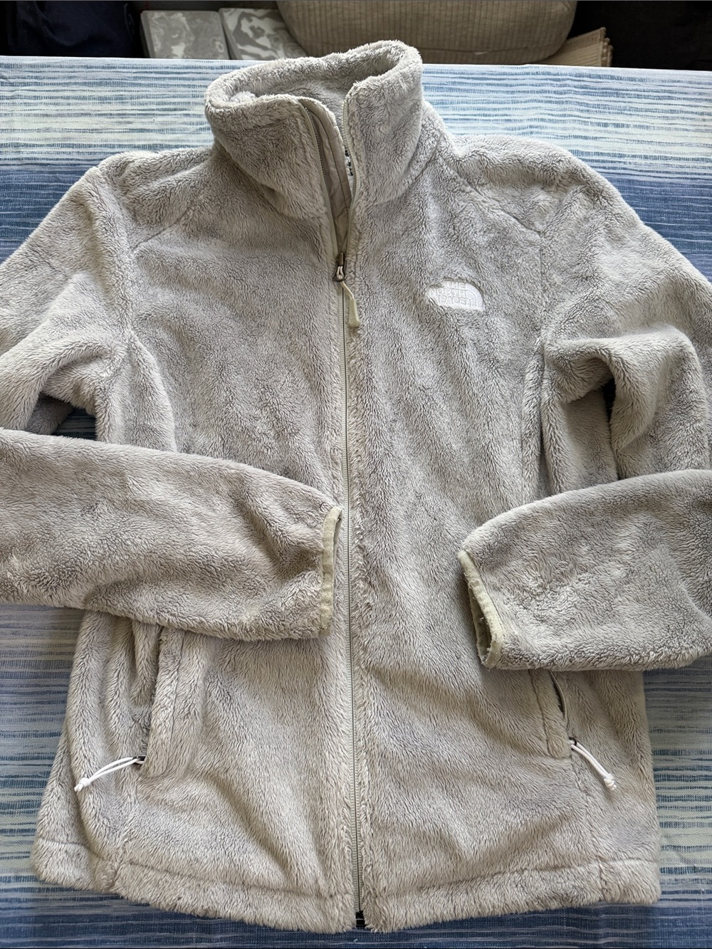EUC The North Face Plush Light Gray  Fleece Jacket size XS